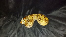 pastel boa N.jpg