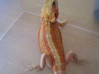 9-6-12 pics 032.jpg