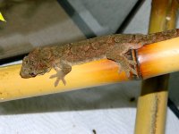 DSCN1551.jpg