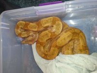 20121010_083342.jpg