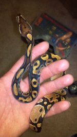 2012-09-03_09-48-03_755.jpg