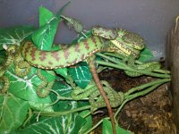 2012-07-18_21-34-10_950.jpg