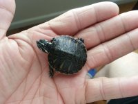 20121005_103326.jpg 20121005_103326.jpg