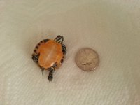 20121005_103153.jpg 20121005_103153.jpg