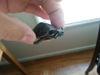 20121005_103355.jpg 20121005_103355.jpg
