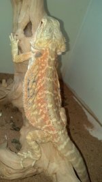 2012-10-18_19-10-03_274.jpg