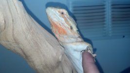 2012-10-18_19-10-36_62.jpg