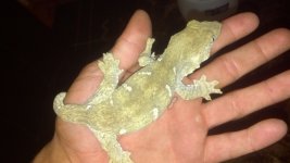 2012-10-18_19-54-01_921.jpg