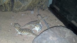 2012-10-18_18-56-47_841.jpg