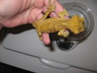 IMG_2499.jpg
