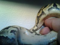 2012-08-0809.41.58.jpg