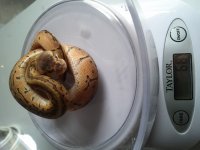 IMG_20120918_115319.jpg