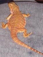 000_1740.jpg