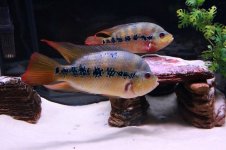 IMG_6378.jpg