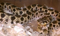 037 (640x383).jpg
