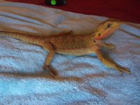100_1237.jpg