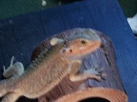 000_1319.jpg