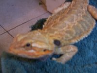000_1635.jpg