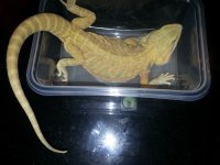 20121106_224716.jpg