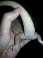 20121106_224918.jpg