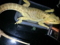 20121106_225143.jpg