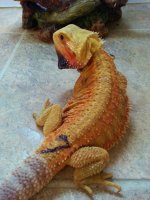 20121015_114206.jpg