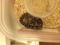 IMG_0364[1].jpg