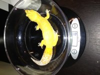 IMG_0174.jpg