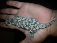 20120918_001220.jpg