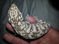 20120901_062627.jpg