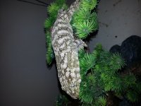 20120901_062723.jpg