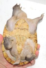 DSCN0840.jpg