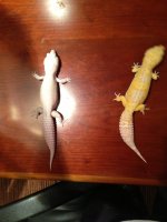 IMG_0180.jpg