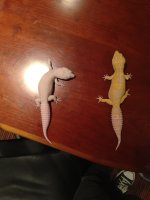 IMG_0178.jpg