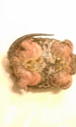 IMAG0091.jpg