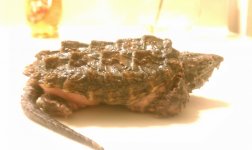 IMAG0090.jpg