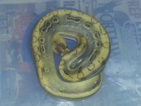 20121025_210625.jpg