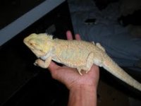 new male from devin.jpg