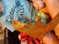 2010-07-04 13.18.59.jpg