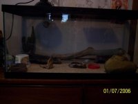 Terrarium.JPG