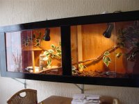 DSC00002 (Small).JPG
