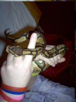 Picture 004.jpg