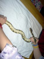 Picture 003.jpg