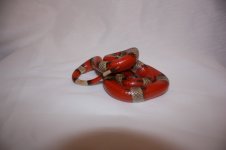 IMG_4165.jpg