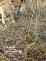 Kelby and snake 1-22-06.JPG