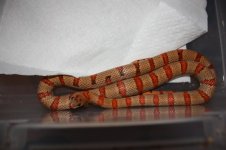 IMG_4173.jpg
