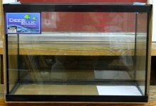 IMG_0867.jpg