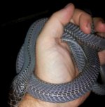 20120929_234103-2.jpg