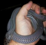 20120929_234103-1.jpg