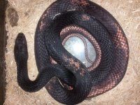 20120930_001715.jpg